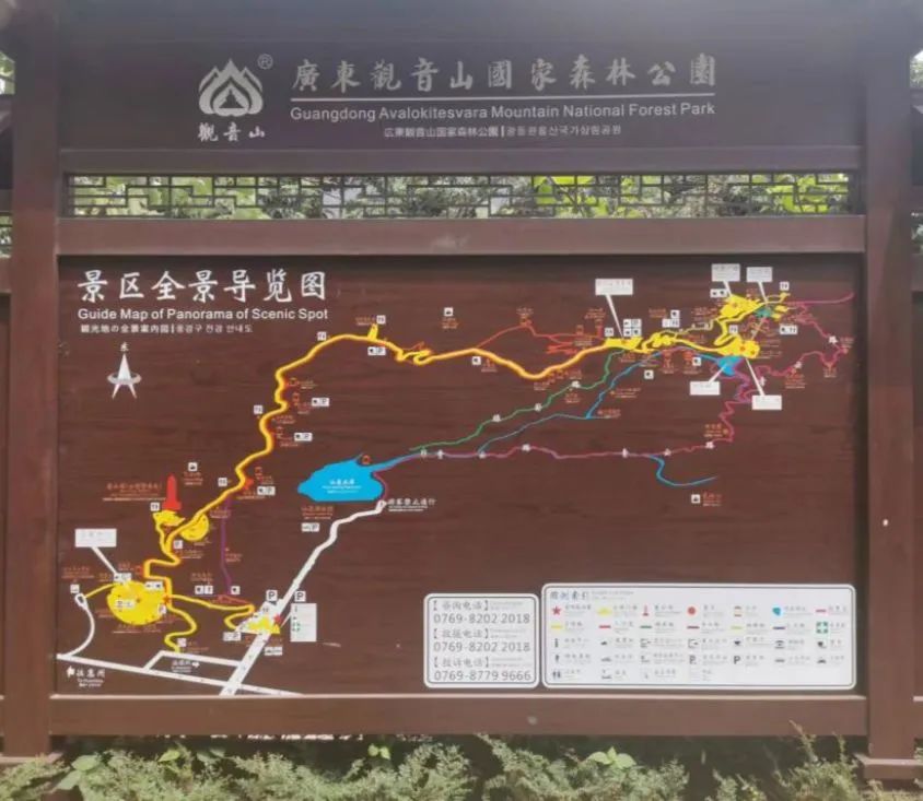 广东观音山：违建、缺电背后的森林公园争夺战